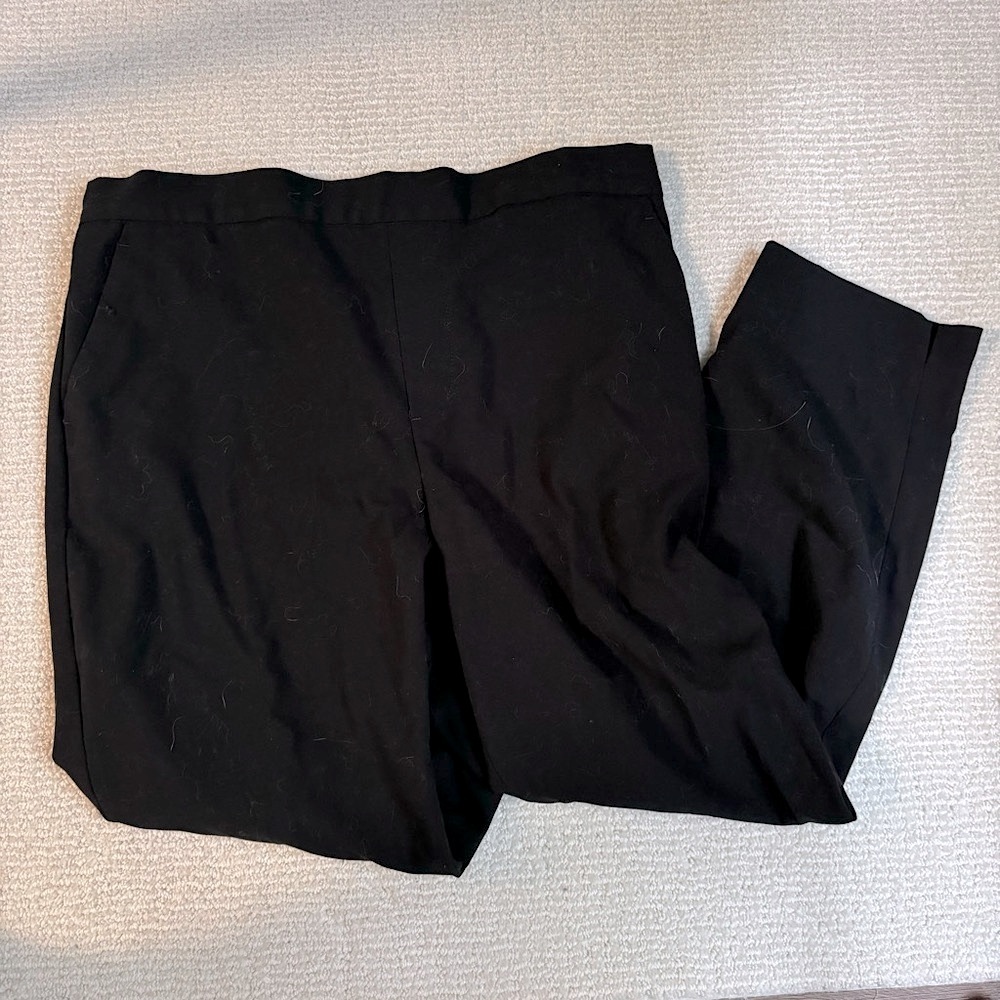 Banana Republic Hayden pants
